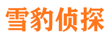 休宁婚外情调查取证